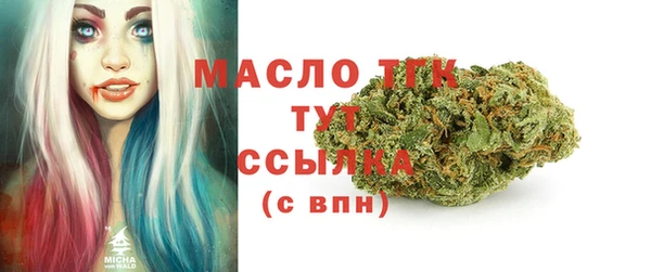 хмурый Мегион