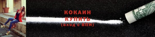 дмт Мегион