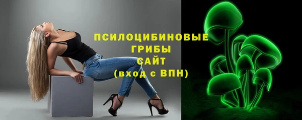 стафф Медвежьегорск