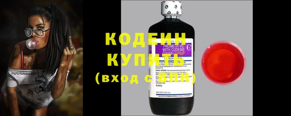 хмурый Мегион