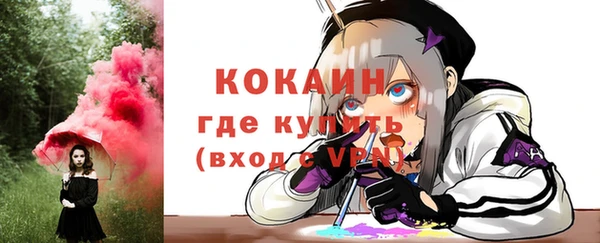 хмурый Мегион