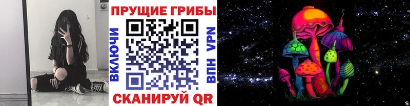 магазин  наркотиков  Королёв  Псилоцибиновые грибы MAGIC MUSHROOMS 
